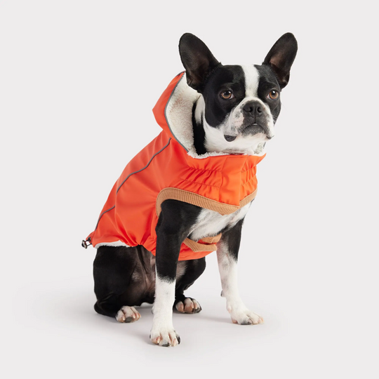 Bright Color Sherpa Raincoat | Option