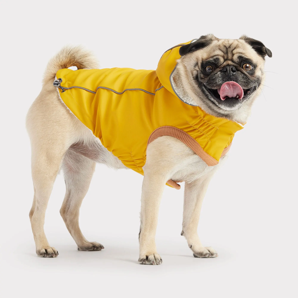 Bright Color Sherpa Raincoat | Option