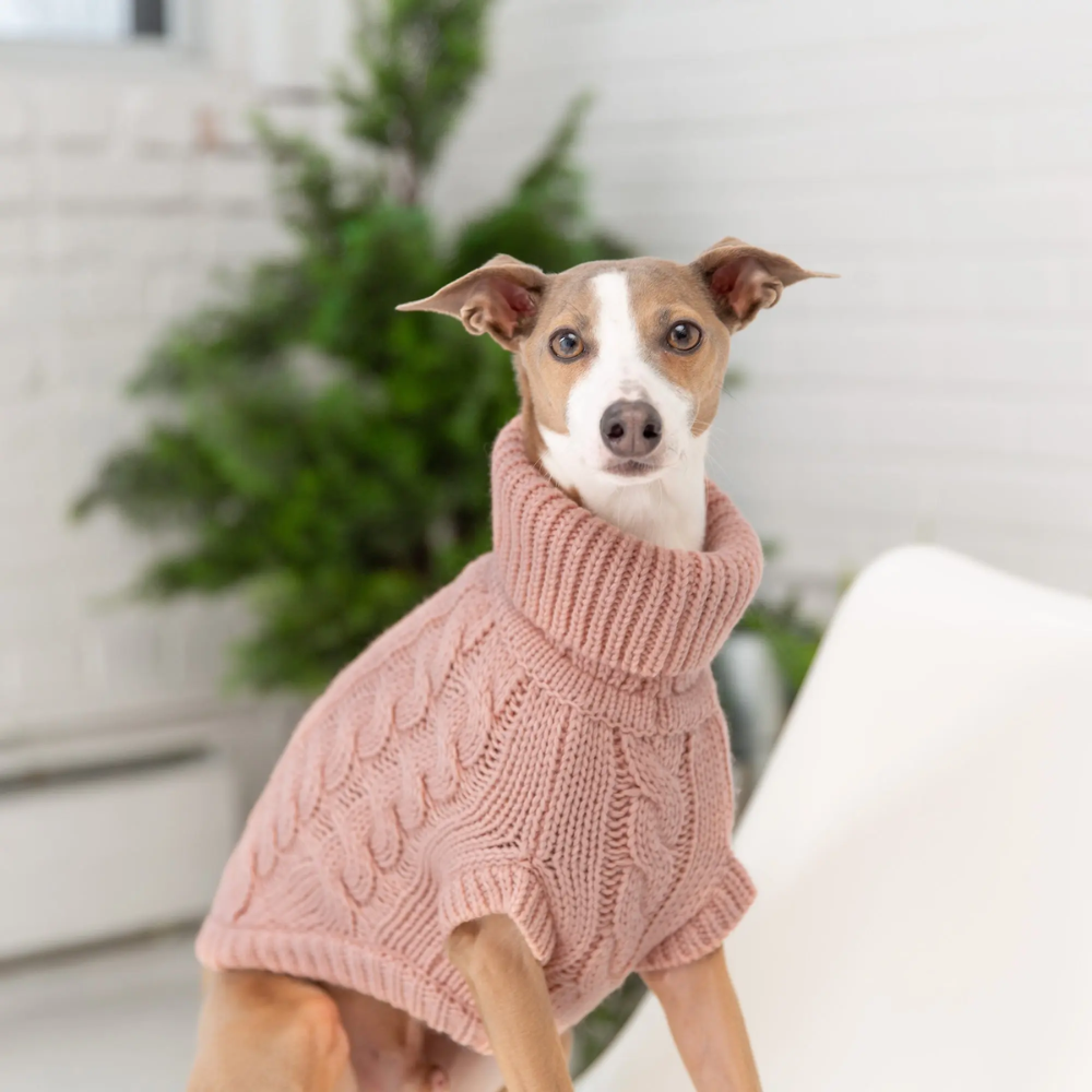 Solid Cable Knit Dog Sweater | Options