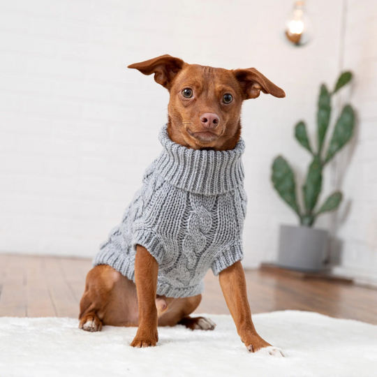 Solid Cable Knit Dog Sweater | Options