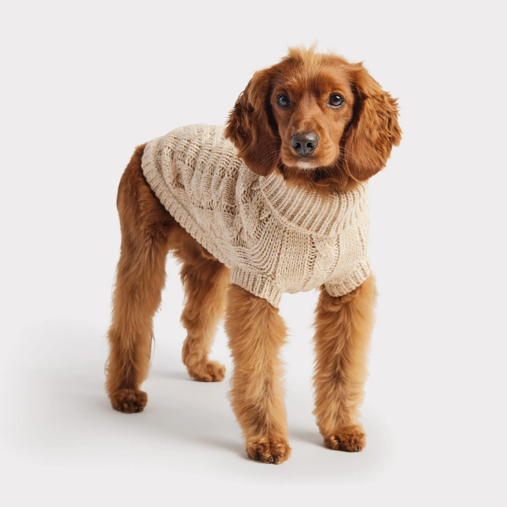 Acrylic Solid Cable Dog Sweater | Options