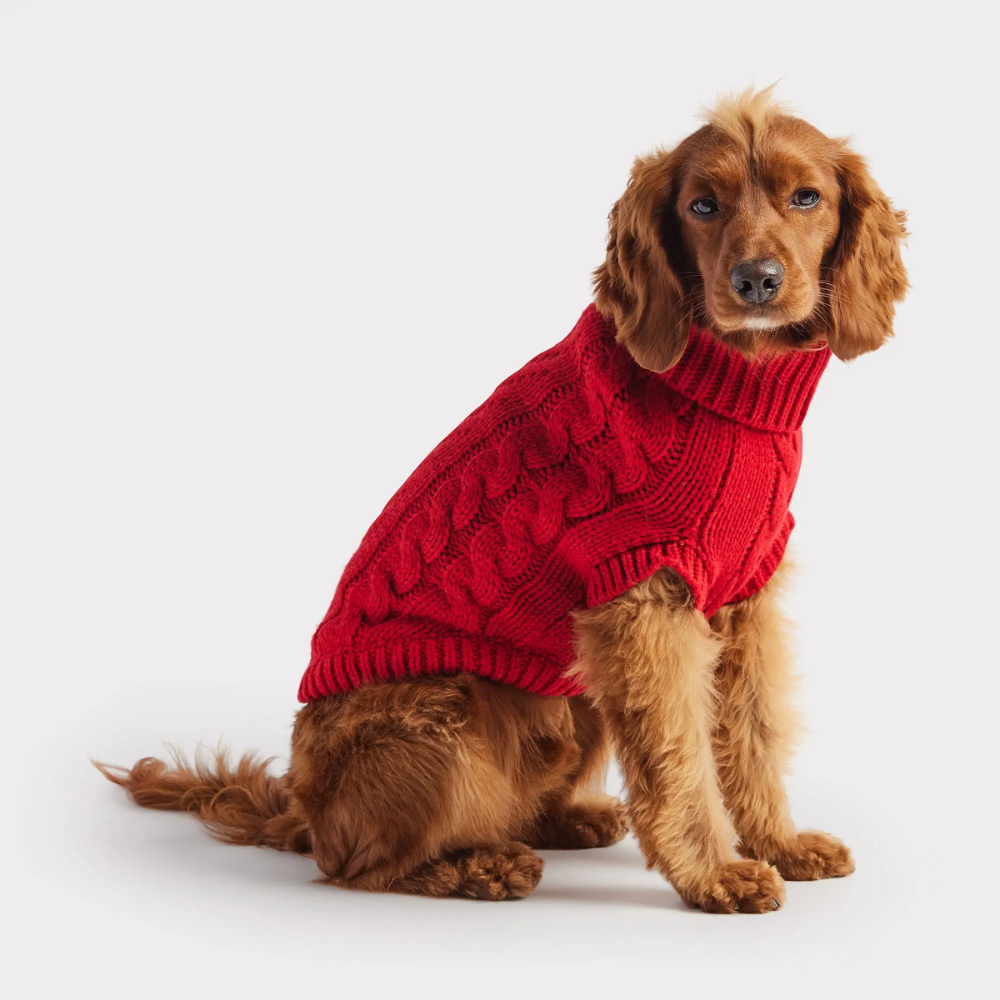 Solid Cable Knit Dog Sweater | Options