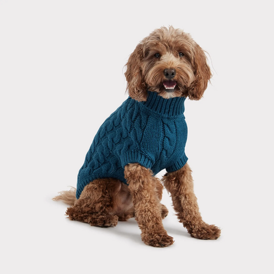 Solid Cable Knit Dog Sweater | Options