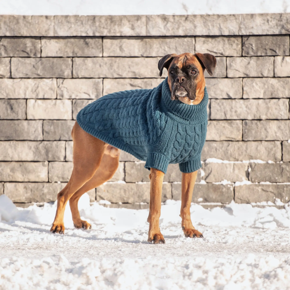 Solid Cable Knit Dog Sweater | Options