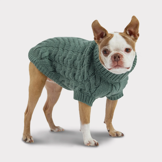 Acrylic Solid Cable Dog Sweater | Options