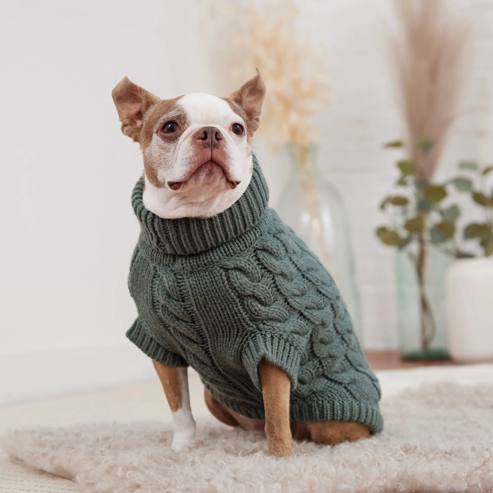 Acrylic Solid Cable Dog Sweater | Options