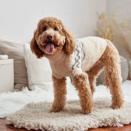 Fuzzy Ski Dog Sweater | Options