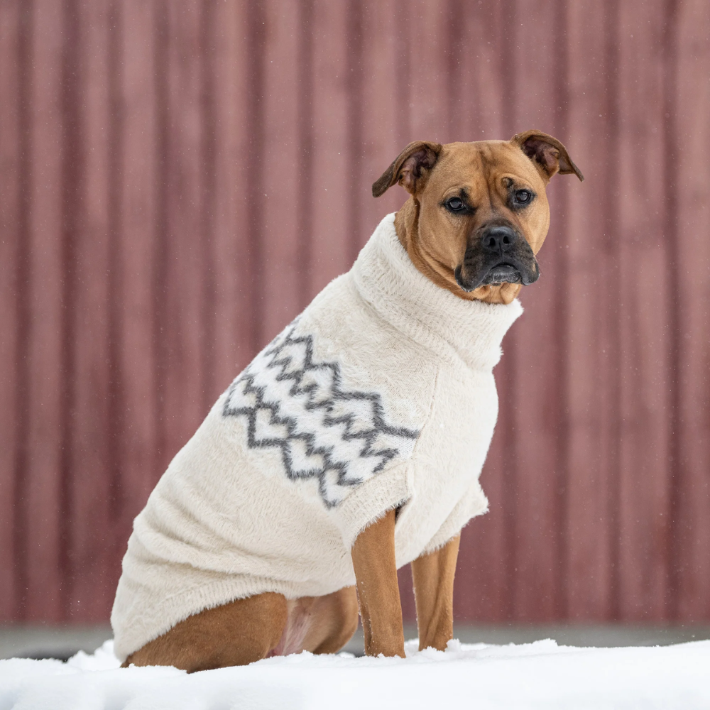 Fuzzy Ski Dog Sweater | Options