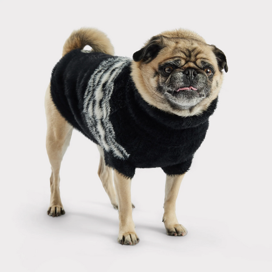 Fuzzy Ski Dog Sweater | Options