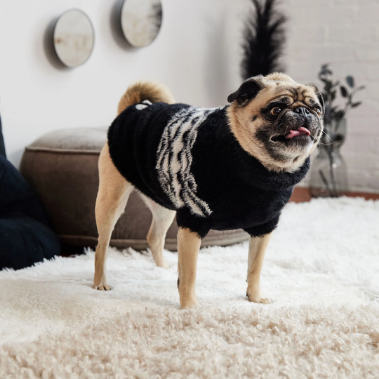 Fuzzy Ski Dog Sweater | Options