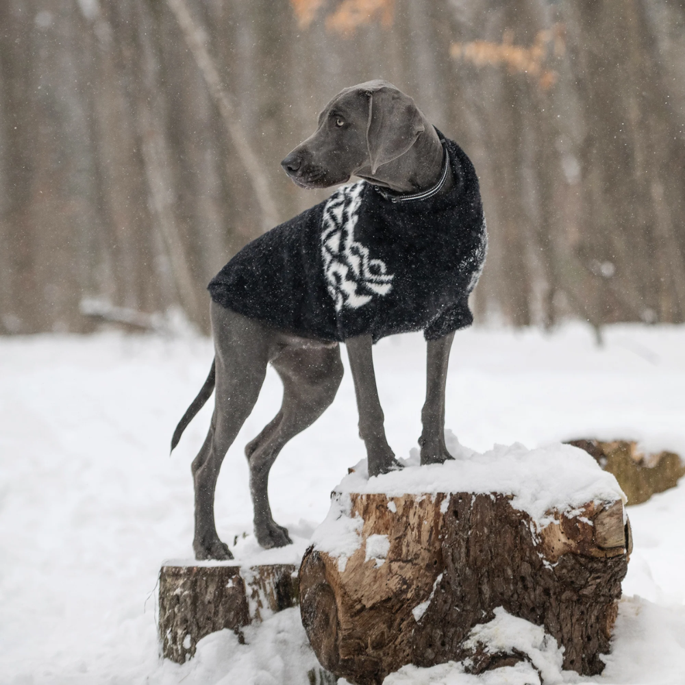 Fuzzy Ski Dog Sweater | Options