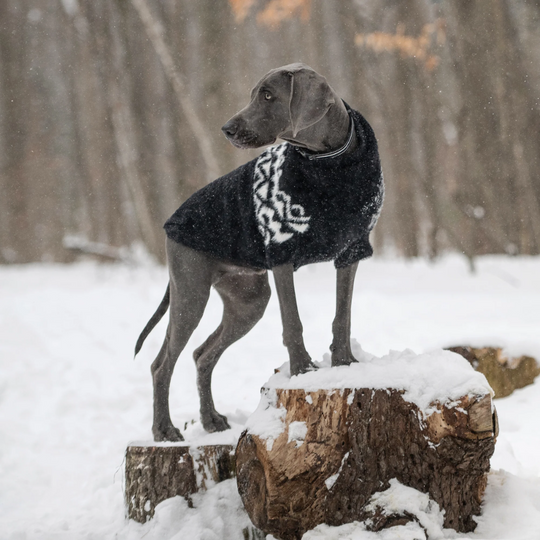 Fuzzy Ski Dog Sweater | Options