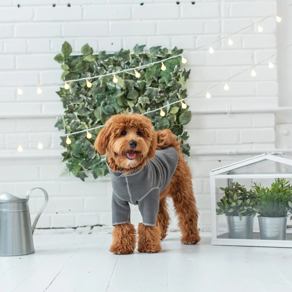 Polar Fleece Dog Comfort Shirt | Options