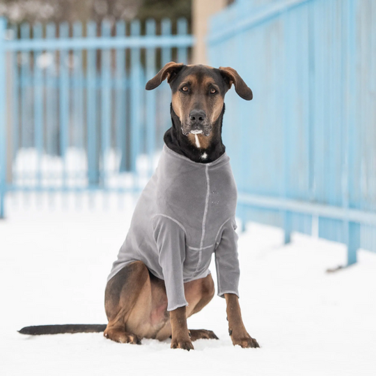 Polar Fleece Dog Comfort Shirt | Options