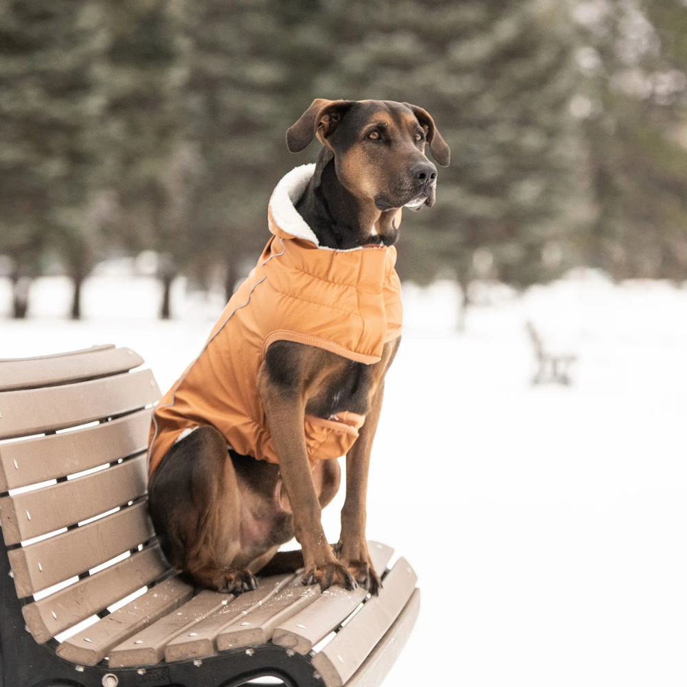 Bright Color Sherpa Raincoat | Option