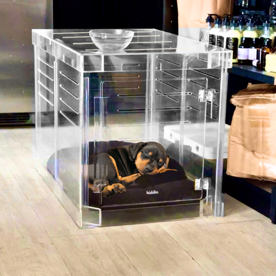 Medium Crate (Silver Latch)