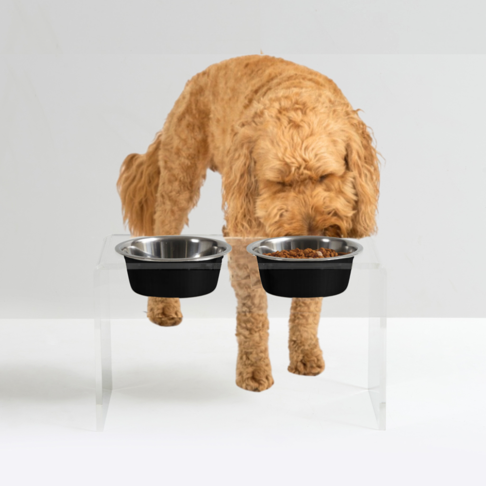 Tall Clear Double Pet Bowl Feeder with Glam Bowls | Options