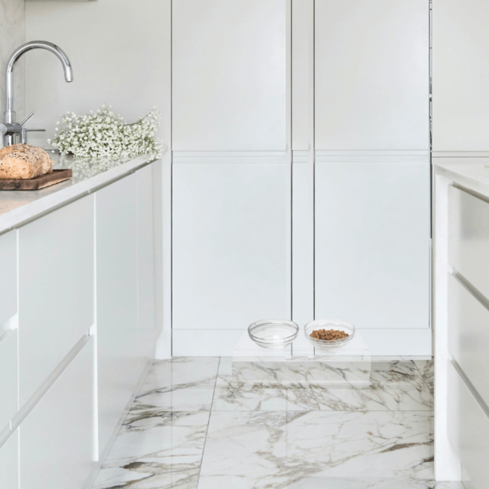 Slant Glass Bowl Feeder