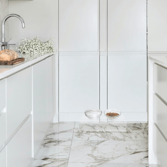 Slant Glass Bowl Feeder