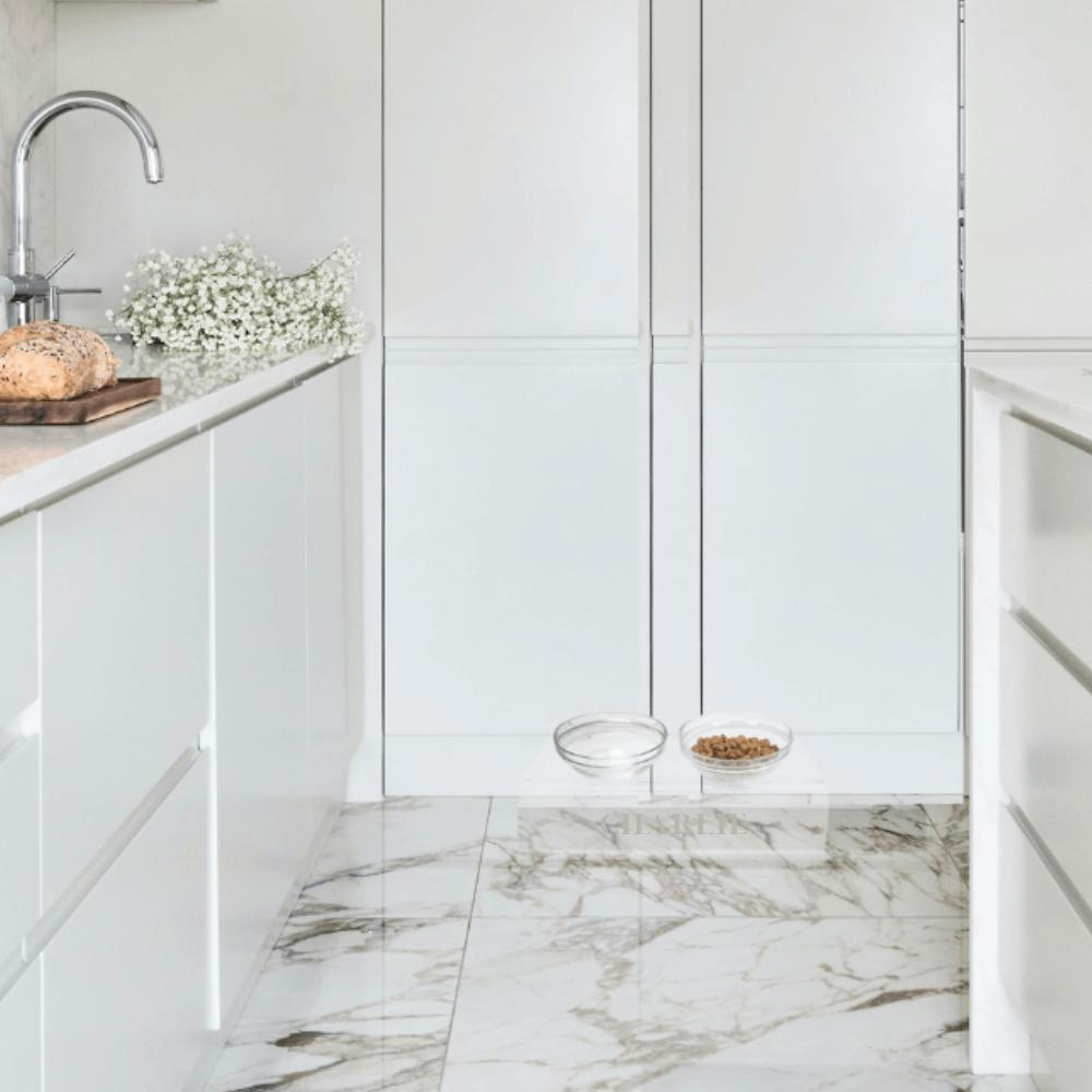 Monogram Slant Glass Bowl Feeder