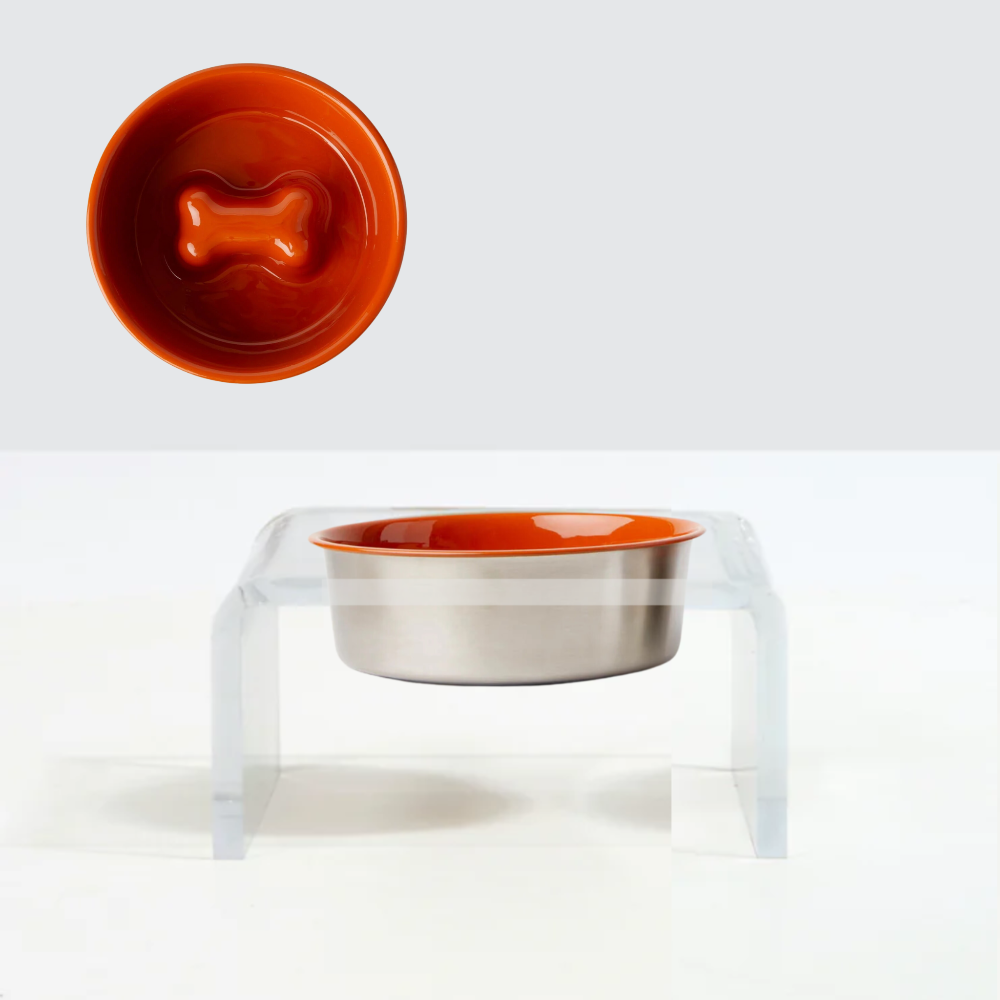 modern lucite elevated dog feeder slow bowl