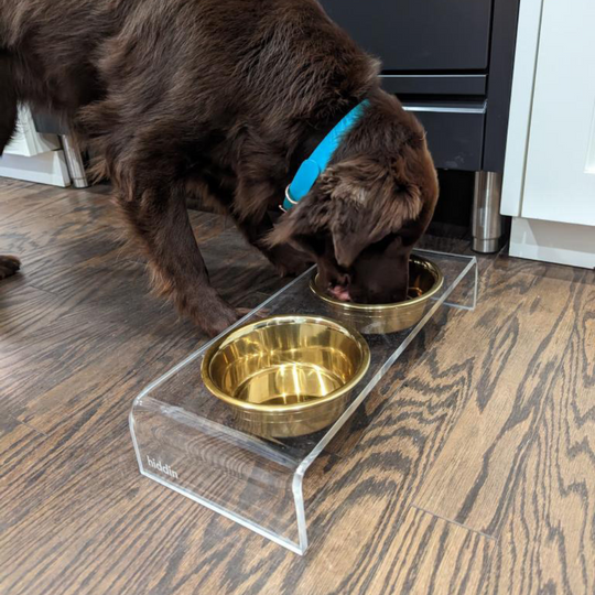 Small Gold Feeder