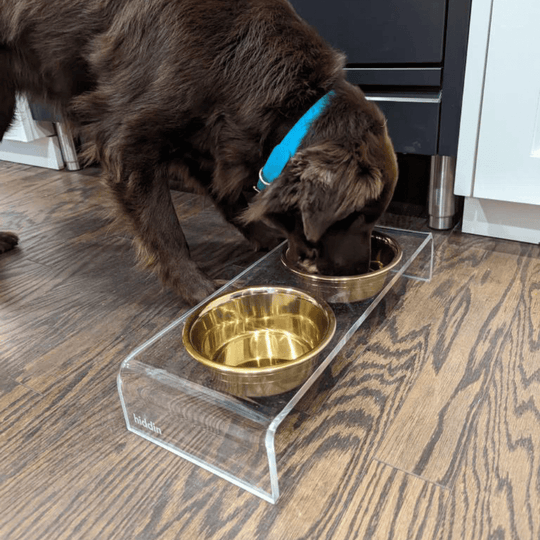 Small Gold Feeder