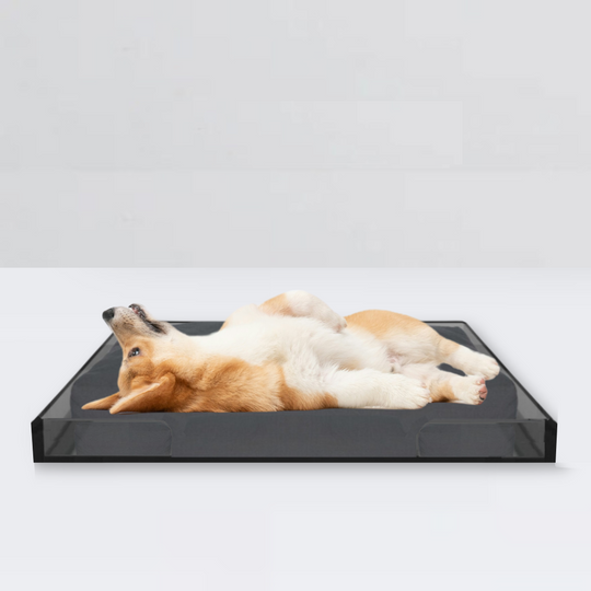 Smoke Grey Lucite Pet Tray Bed | Options