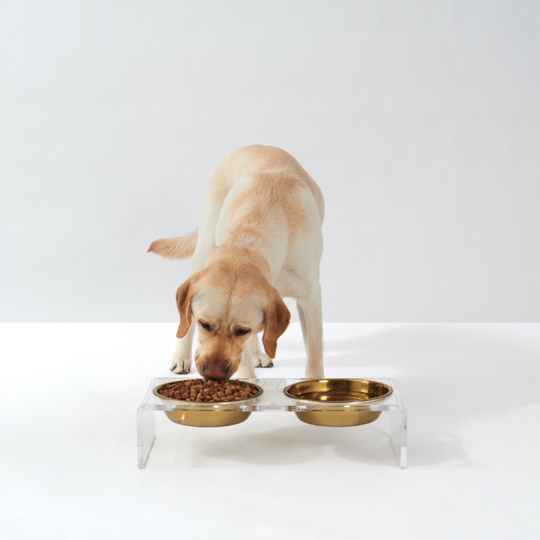 Personalized Double Feeder with Gold Bowls