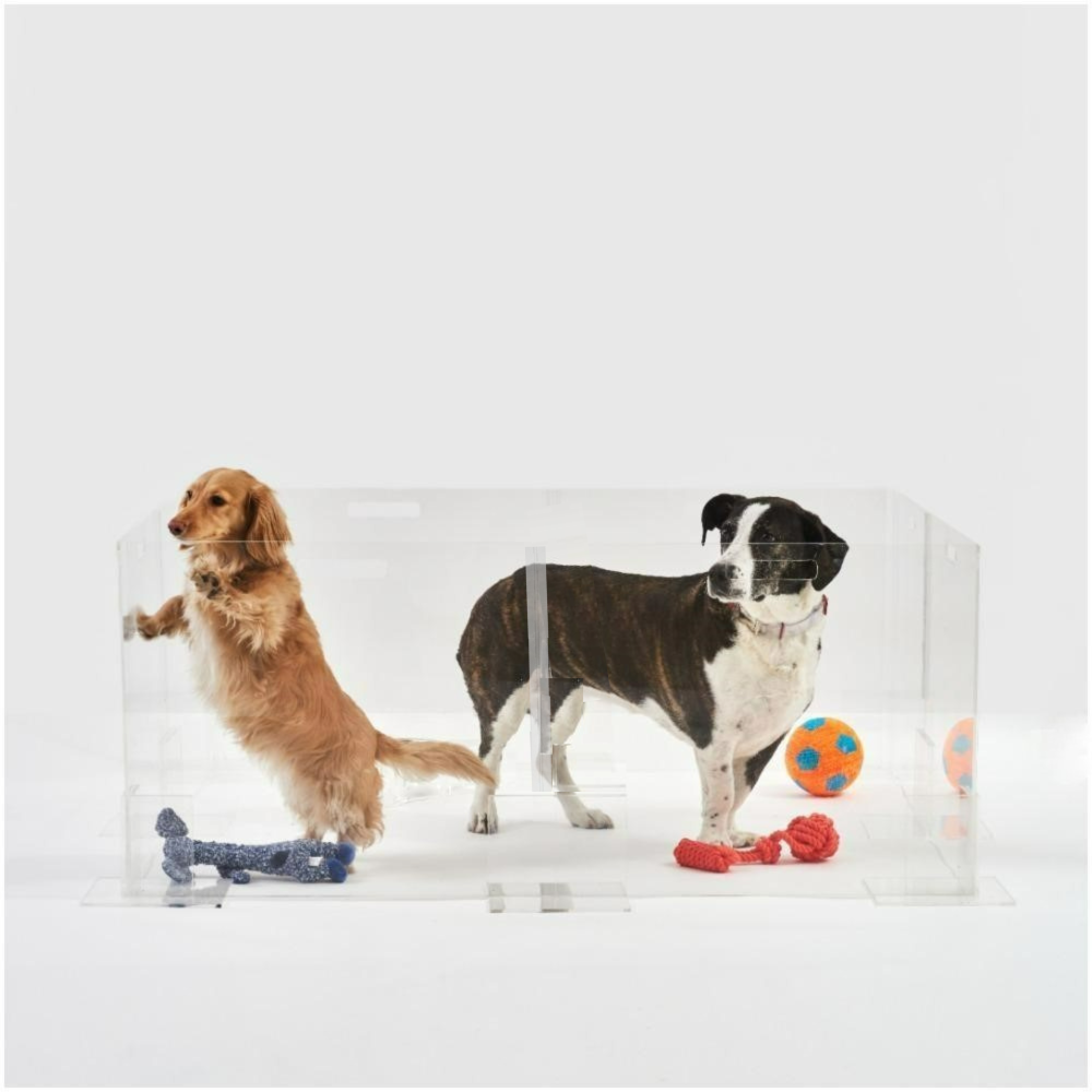 Clear dog pen best sale