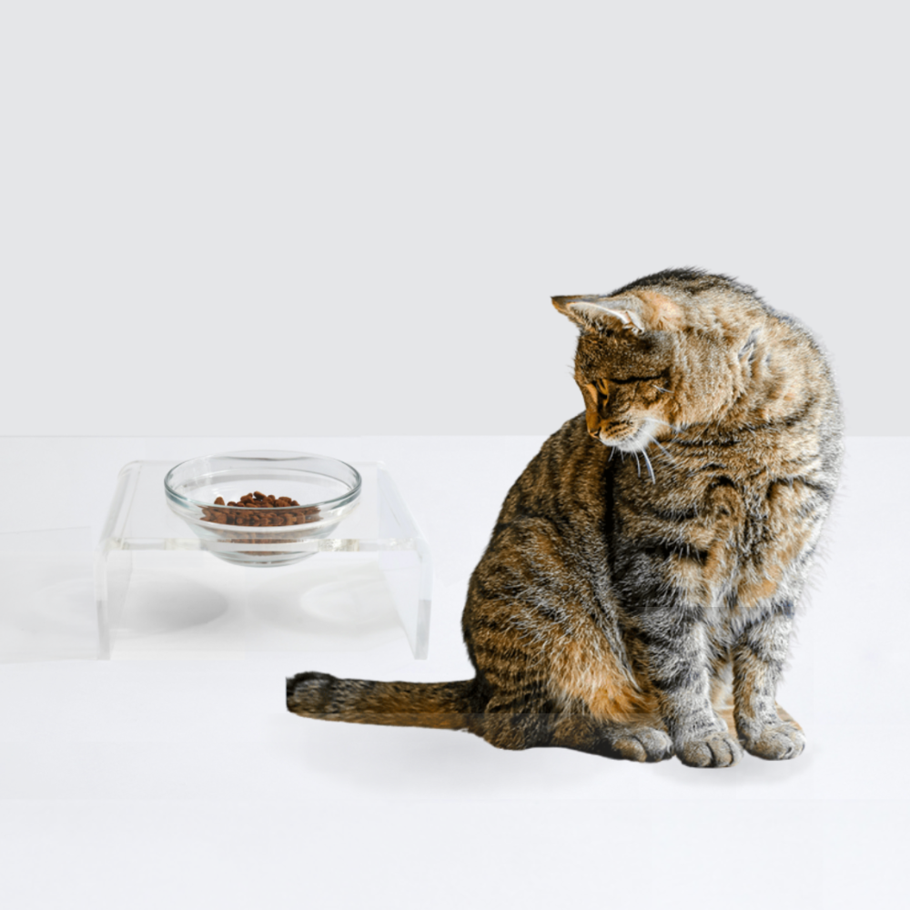 Single Glass Bowl Feeder