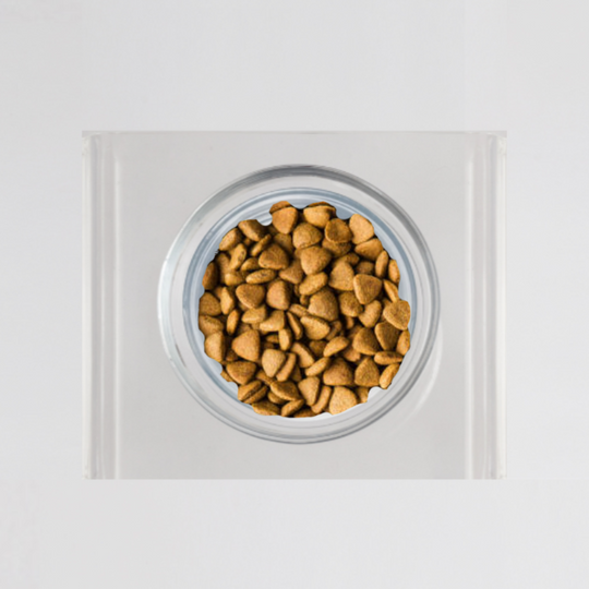 Single Glass Bowl Feeder