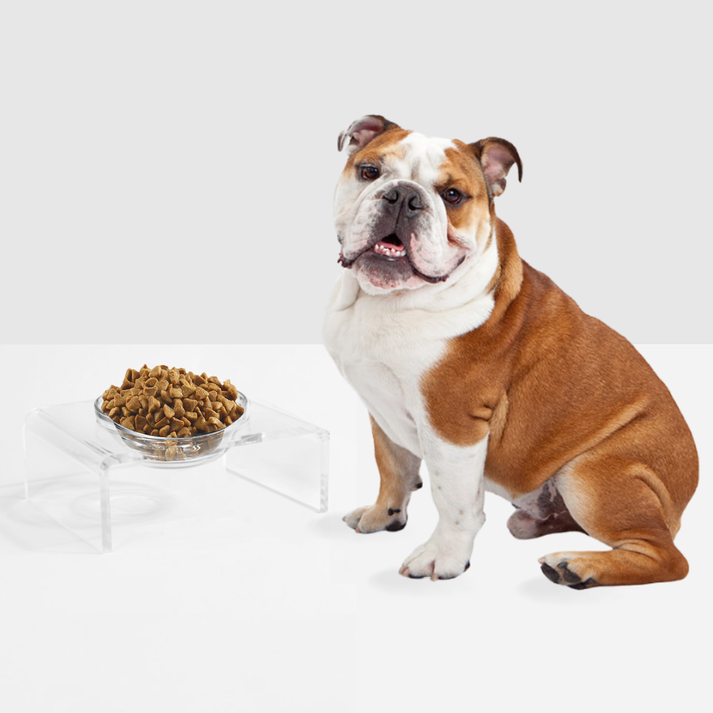 Single Glass Bowl Feeder