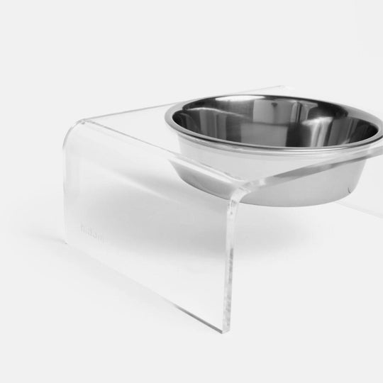 Clear Single Silver Bowl Feeder