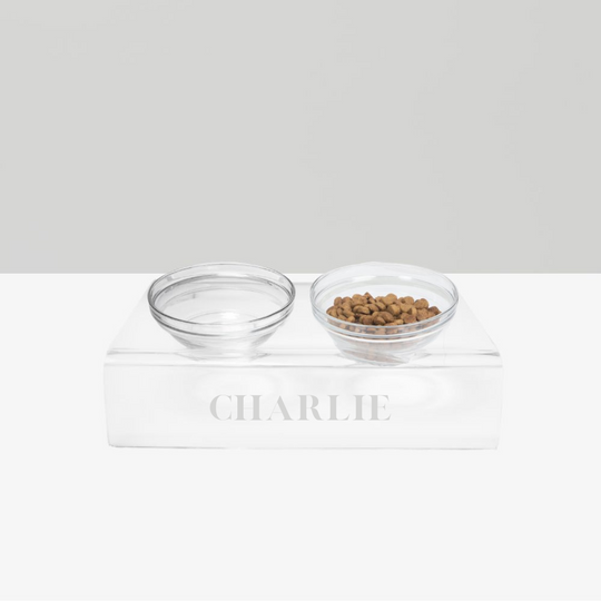 Personalized Slanted Glass Bowl Feeder | Options