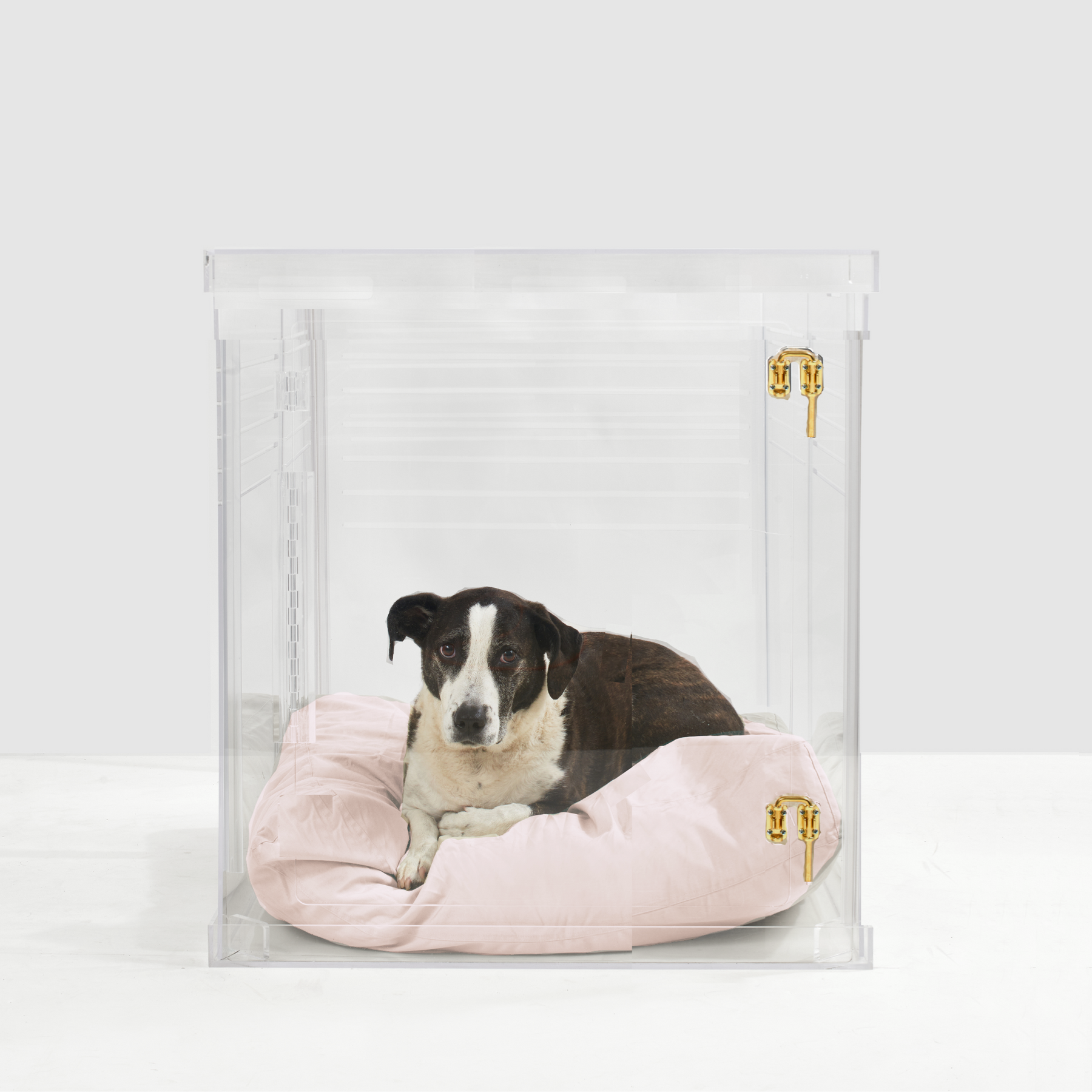 Acrylic dog cage outlet