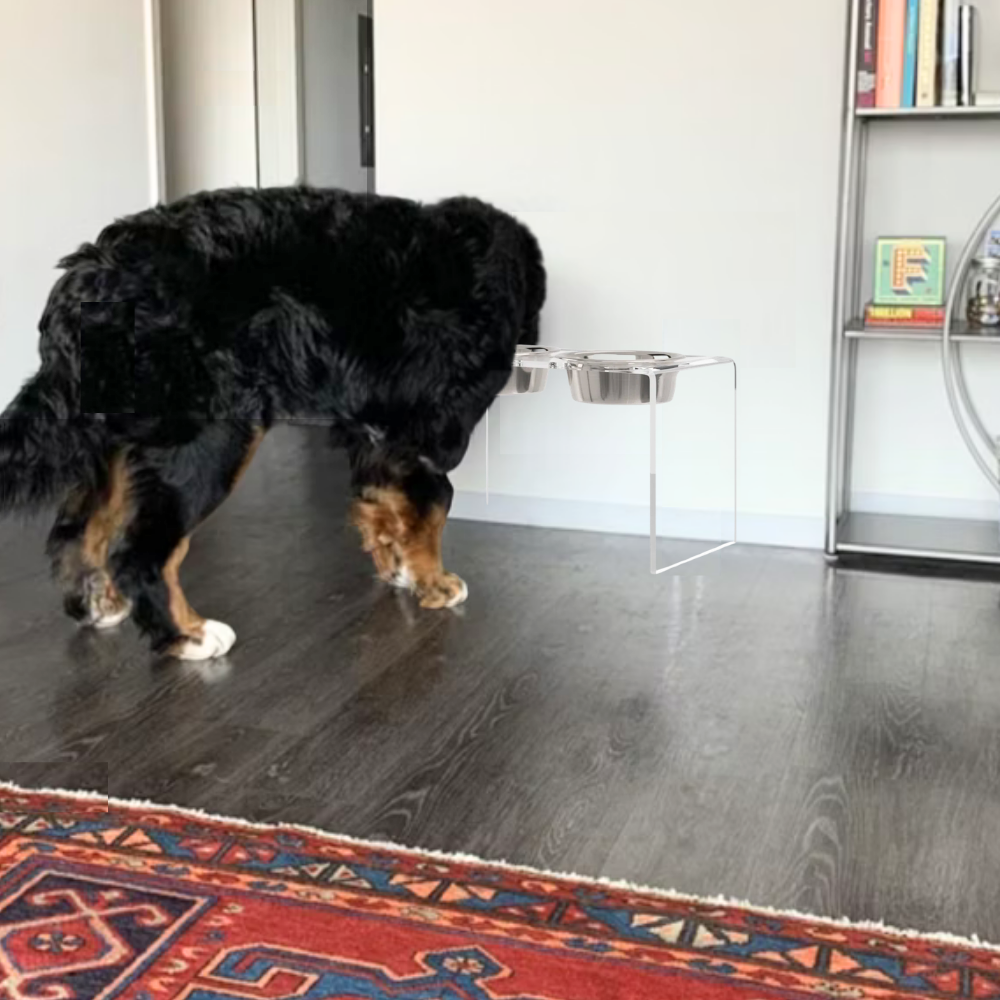 Tall Silver Double Feeder