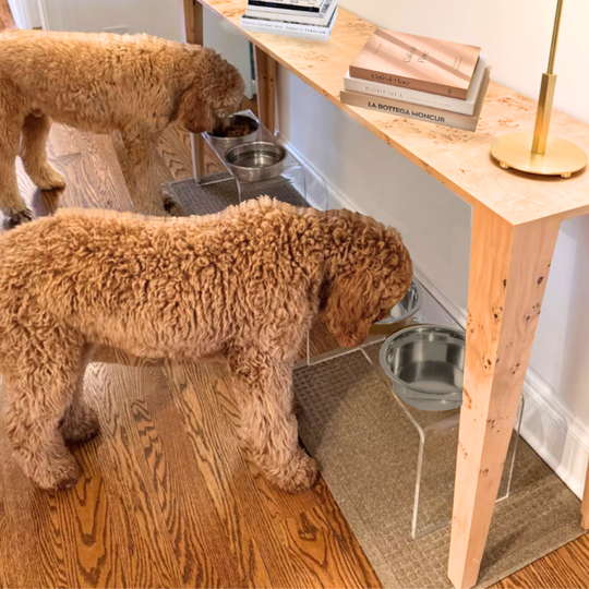 Tall Silver Double Feeder