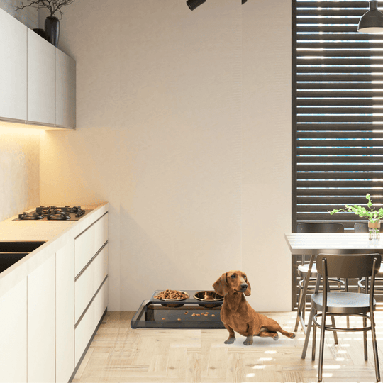 Bronze Overflow Feeder Tray