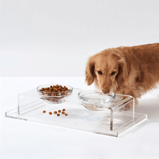 Clear Overflow Feeder Tray
