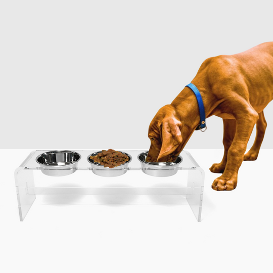 Tall Clear Triple Dog Bowl Feeder with Silver Bowls