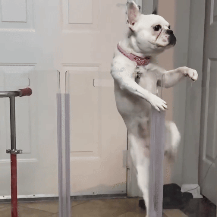 Wall Mount Zig Zag Gate (Tall)