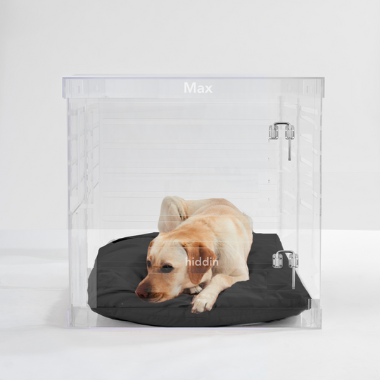 Monogram Large Crate (Silver Latch)