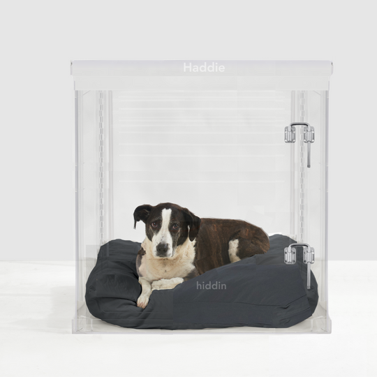 Monogram Large Crate (Silver Latch)