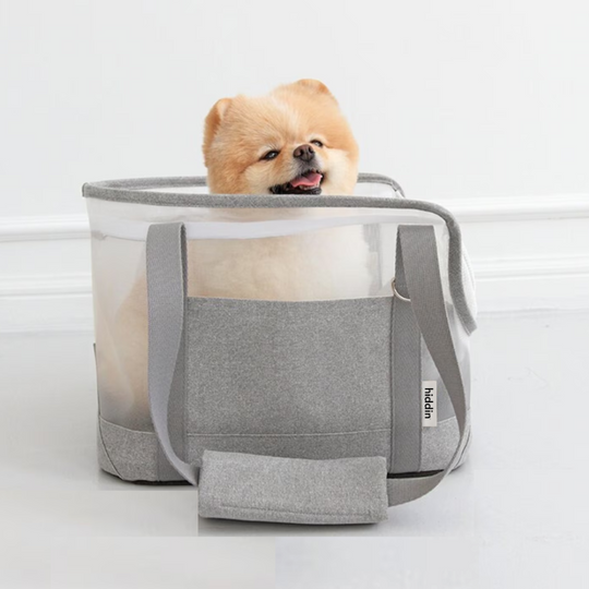 Mesh Travel Pet Carrier | Options