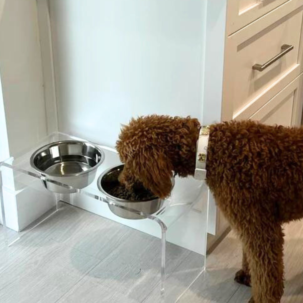 Tall Clear Double Pet Bowl Feeder with Silver Bowls