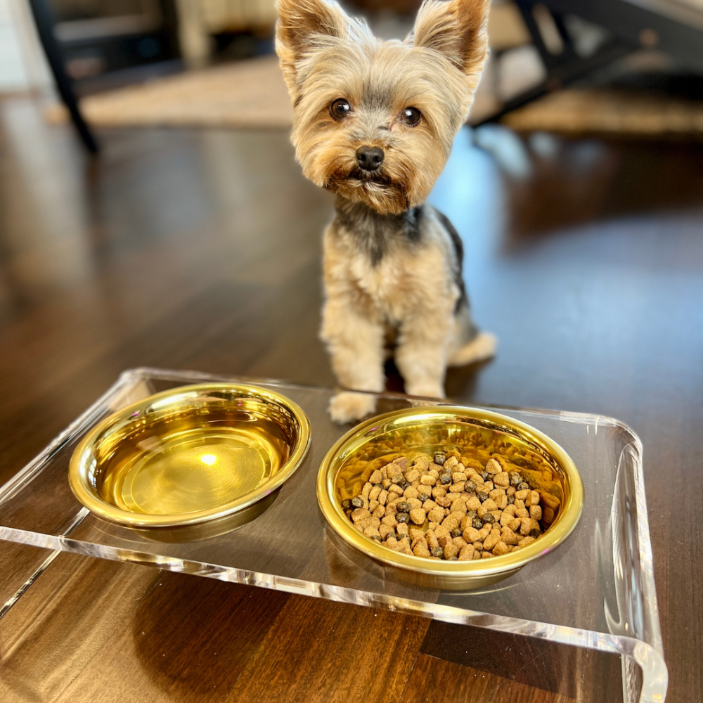 Small Clear Double Pet Bowl Feeder with Gold Bowls | Options