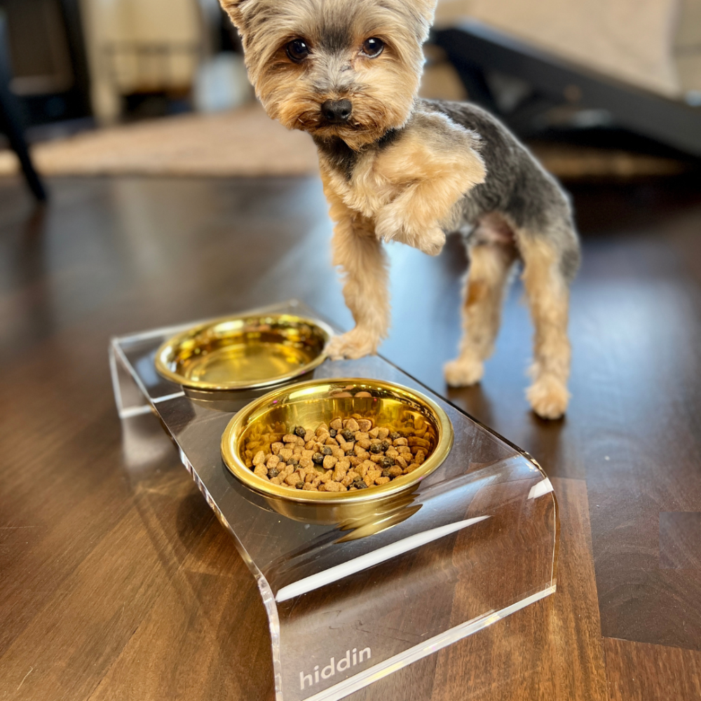 Small Clear Double Pet Bowl Feeder with Gold Bowls | Options