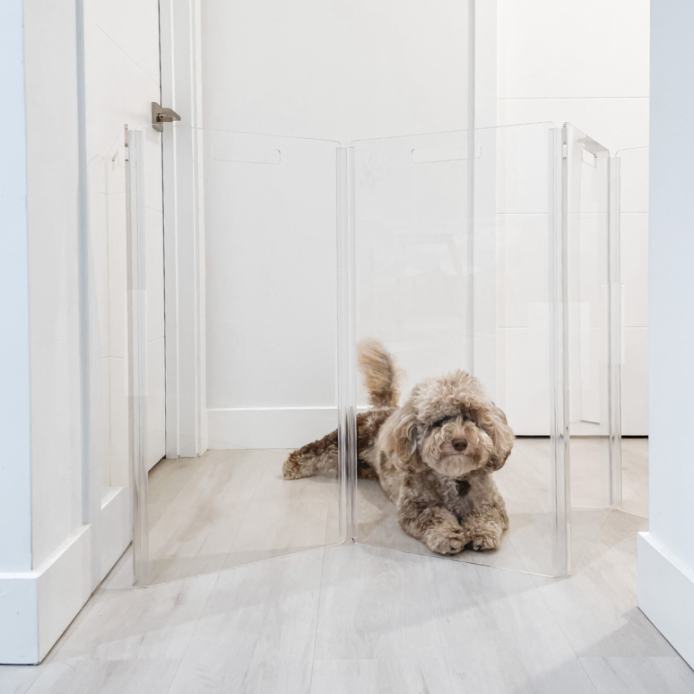 Low Clear Freestanding Zig Zag Pet Gate | Options