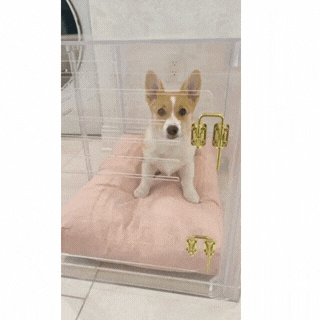 Small Crate (Gold Latch)